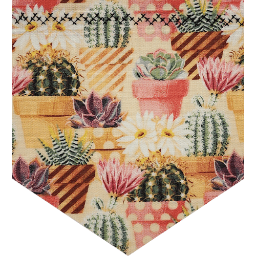 Cacti