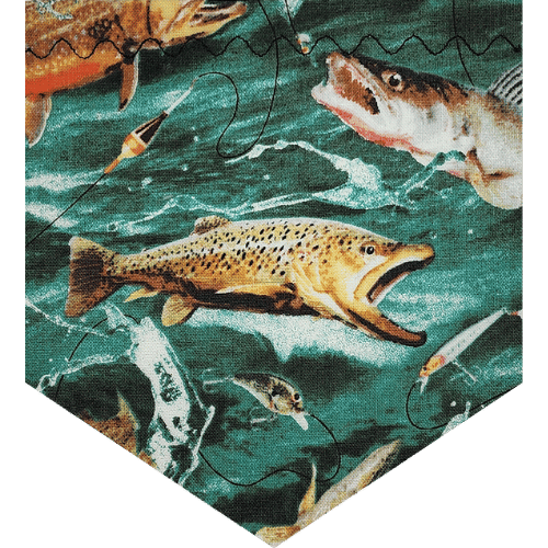 Fish-B