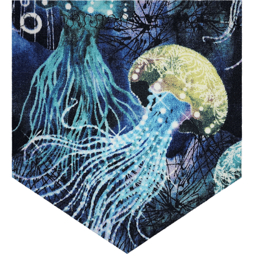 Jellyfish