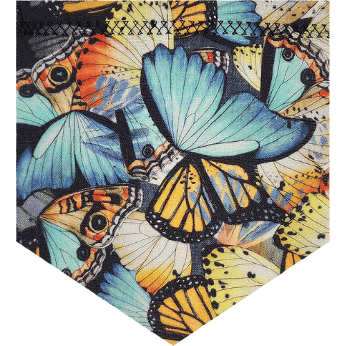 Butterflies