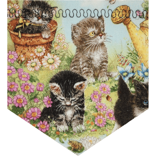 Kittens