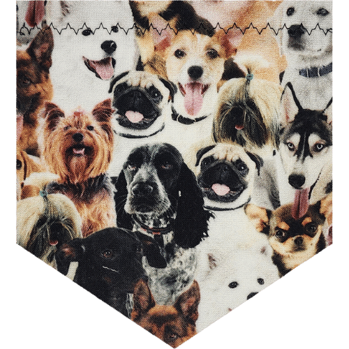 Dogs